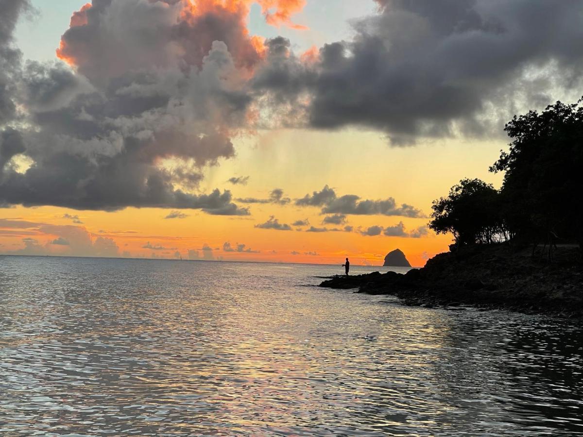 Appartement Vue Mer A 2 Minutes A Pied Des Plages Tartane ลา ทรินิเต ภายนอก รูปภาพ